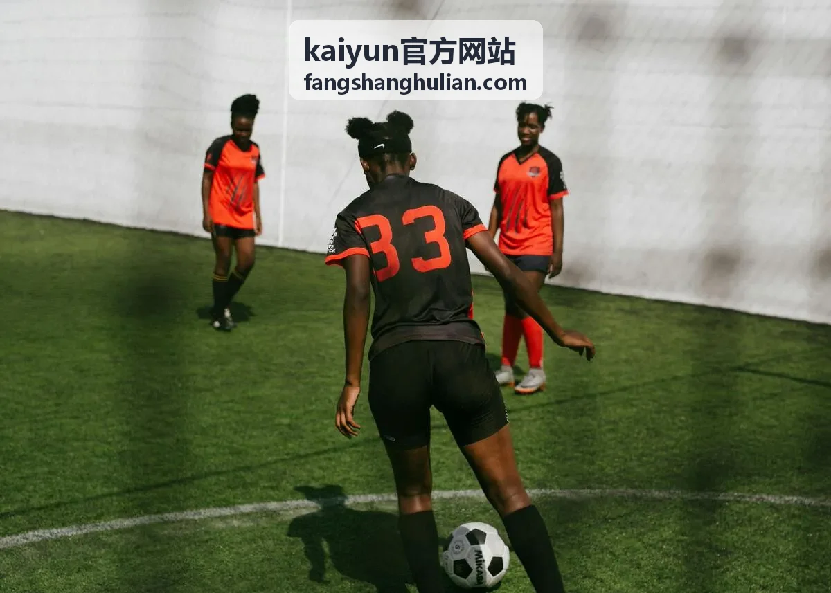 kaiyun官方网站数据安全与合规风险排查示意