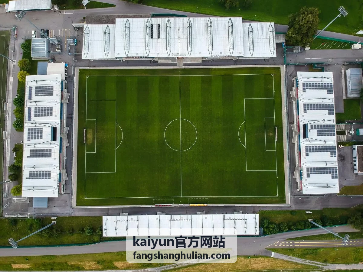 kaiyun官方网站数据安全与合规建设过程中的协作场景