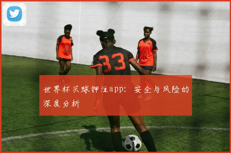 世界杯买球押注app：安全与风险的深度分析