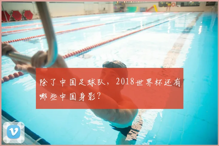 除了中国足球队，2018世界杯还有哪些中国身影？