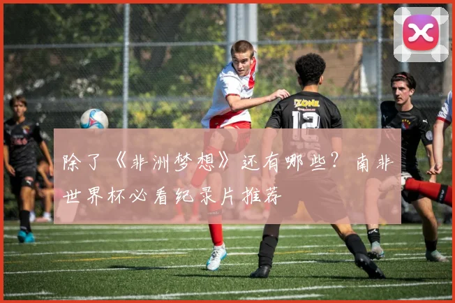 除了《非洲梦想》还有哪些？南非世界杯必看纪录片推荐